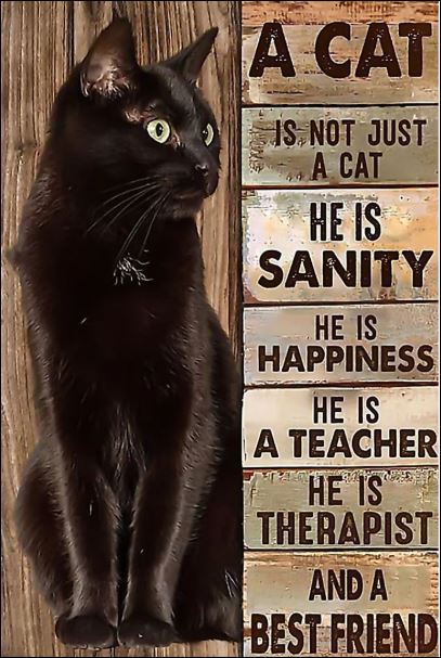 A cat is not just a cat he is sanity he is happiness he is a teacher he is therapist poster