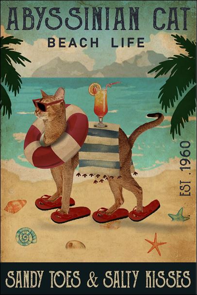 Abyssinian cat beach life sandy toes and salty kisses poster