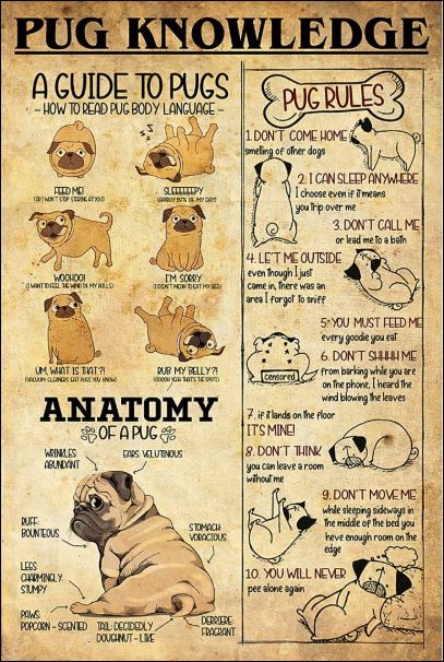 Pug knowledge poster