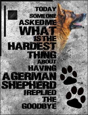 Today someone asked me what is the hardest thing about having a German Shepherd i replied the goodbye poster