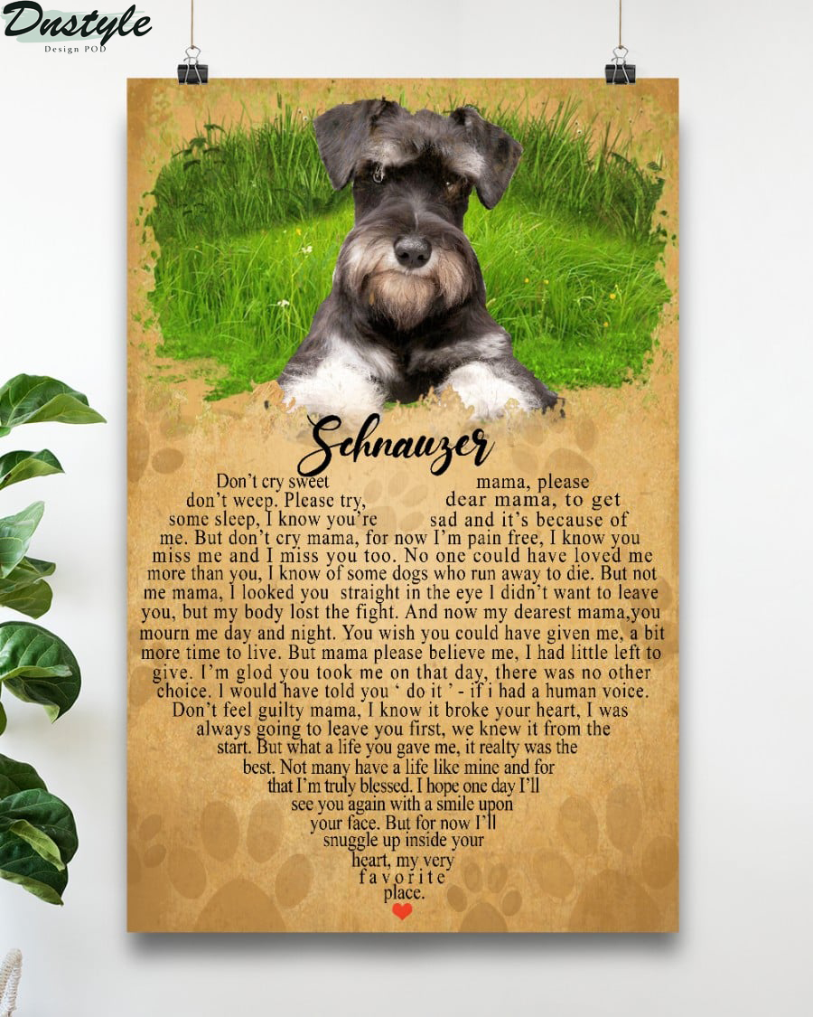 Schnauger don't cry sweet don't weep please try some sleep poster