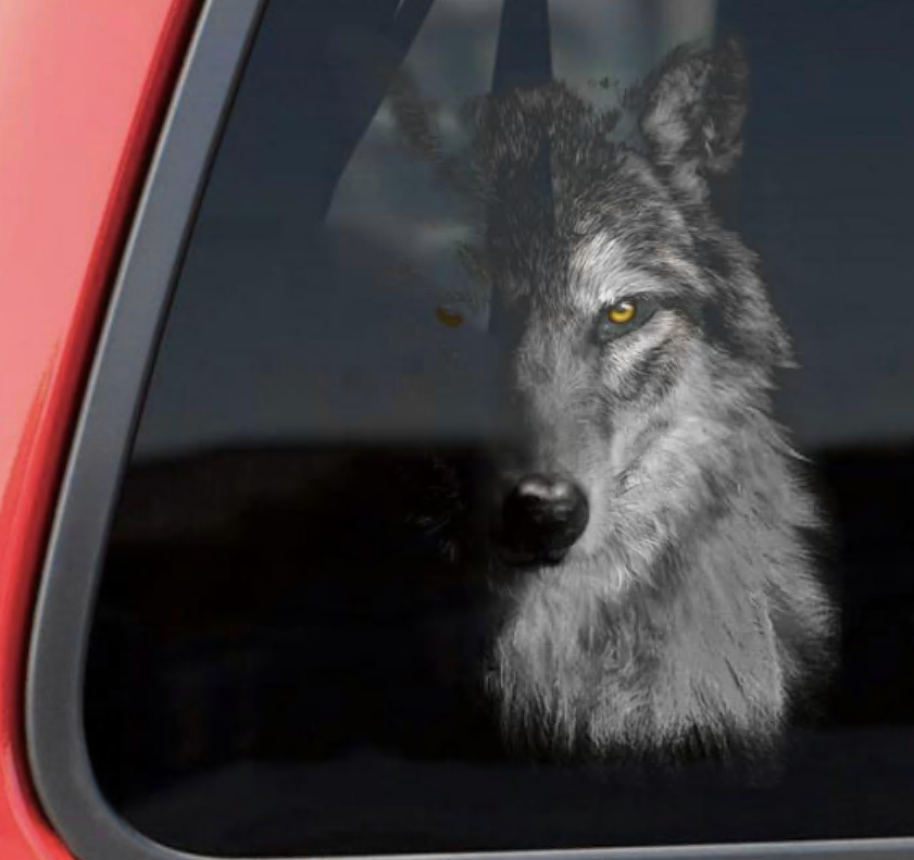 Wolf face decal