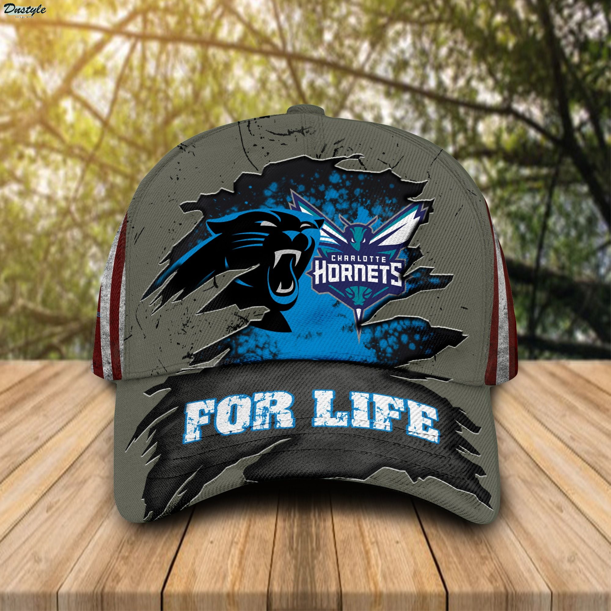 Carolina Panthers Charlotte Hornets for life cap hat 1