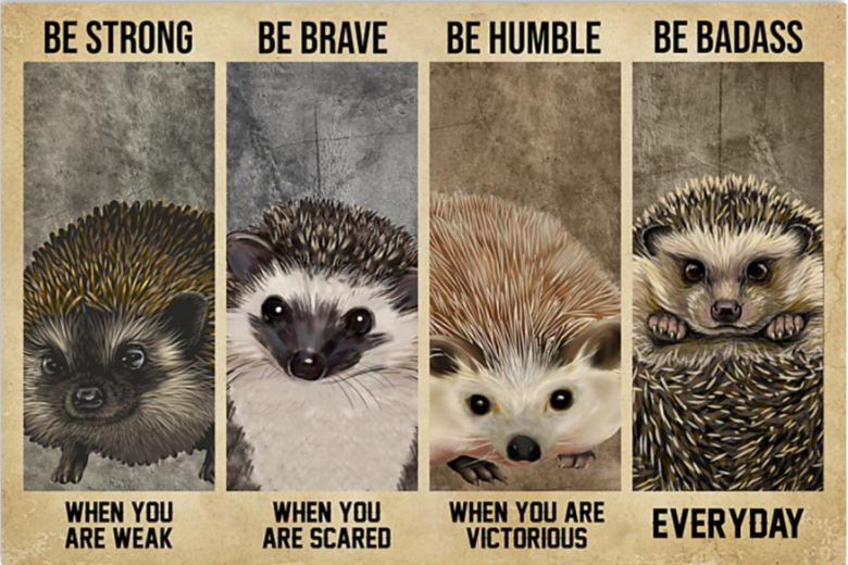 Hedgehog be strong when you are weak be brave when you are scared poster
