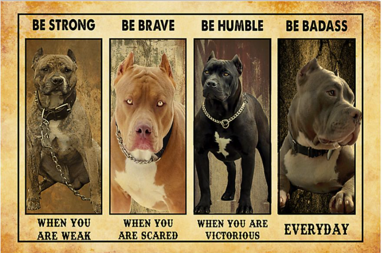 Pitbull be strong when you are weak be brave when you are scared poster