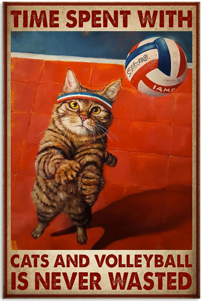 Time spent with cats and volleyball is never wasted poster