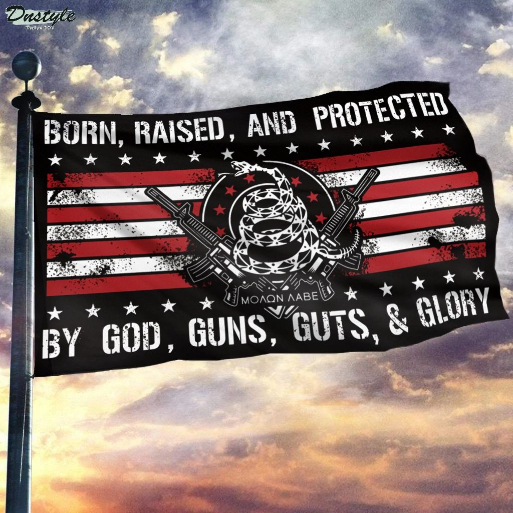 ΜΟΛΩΝ ΛΑΒΕ born raised and protected by god guns guts and glory flag