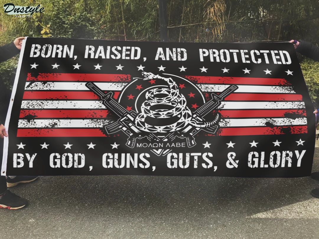 ΜΟΛΩΝ ΛΑΒΕ born raised and protected by god guns guts and glory flag 2