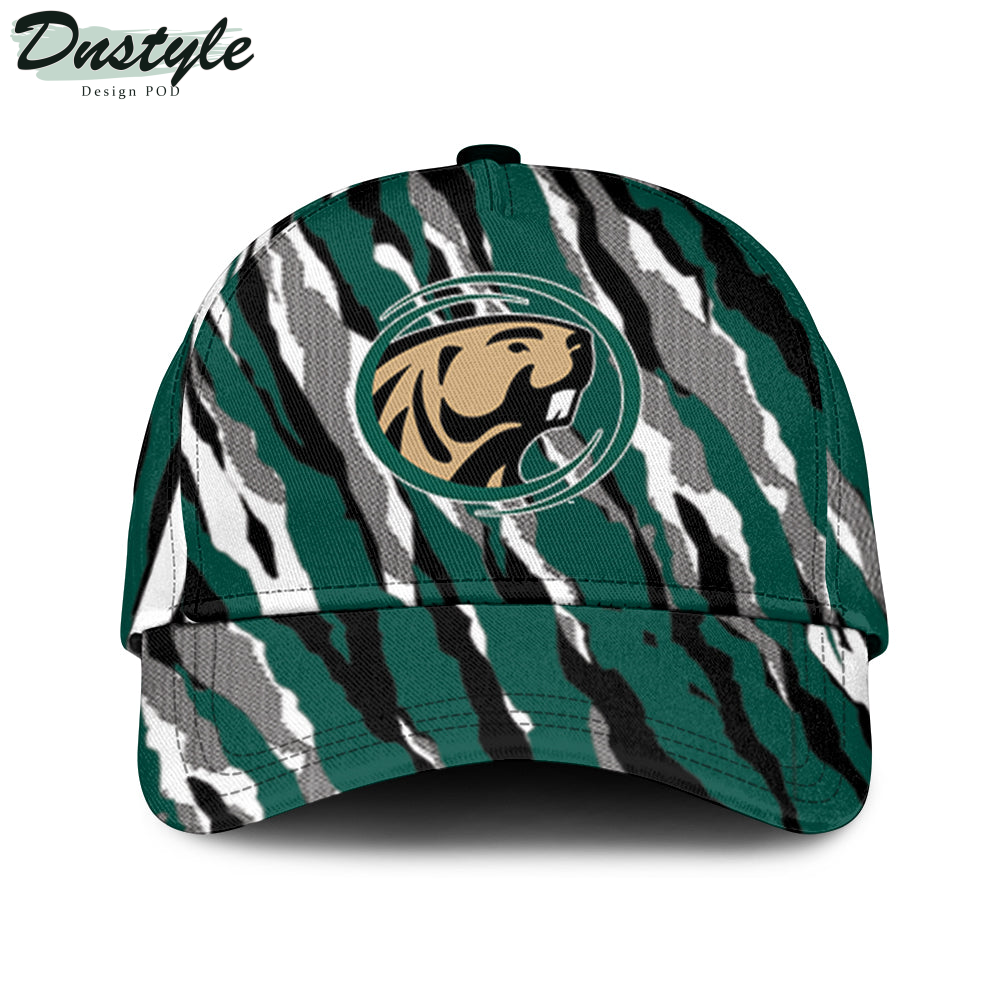 California Irvine Anteaters Sport Style Keep go on Classic Cap