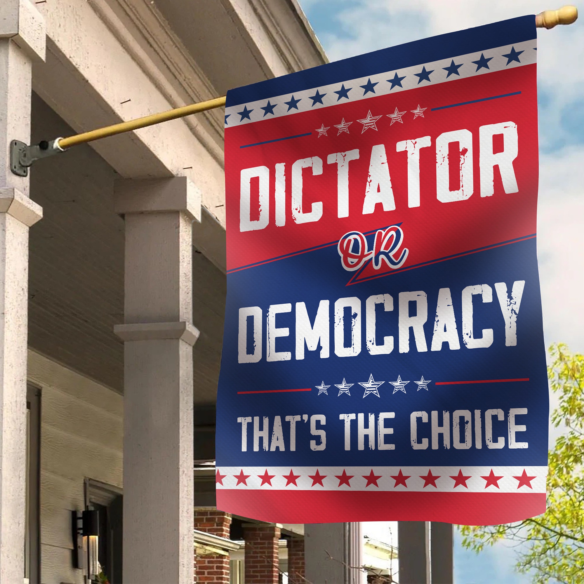 Dictator or Democracy that's the choice flag